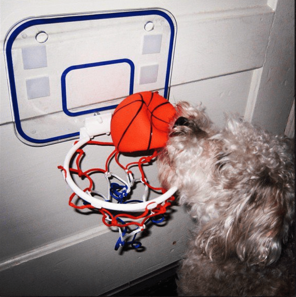 Magnus shooting hoops.