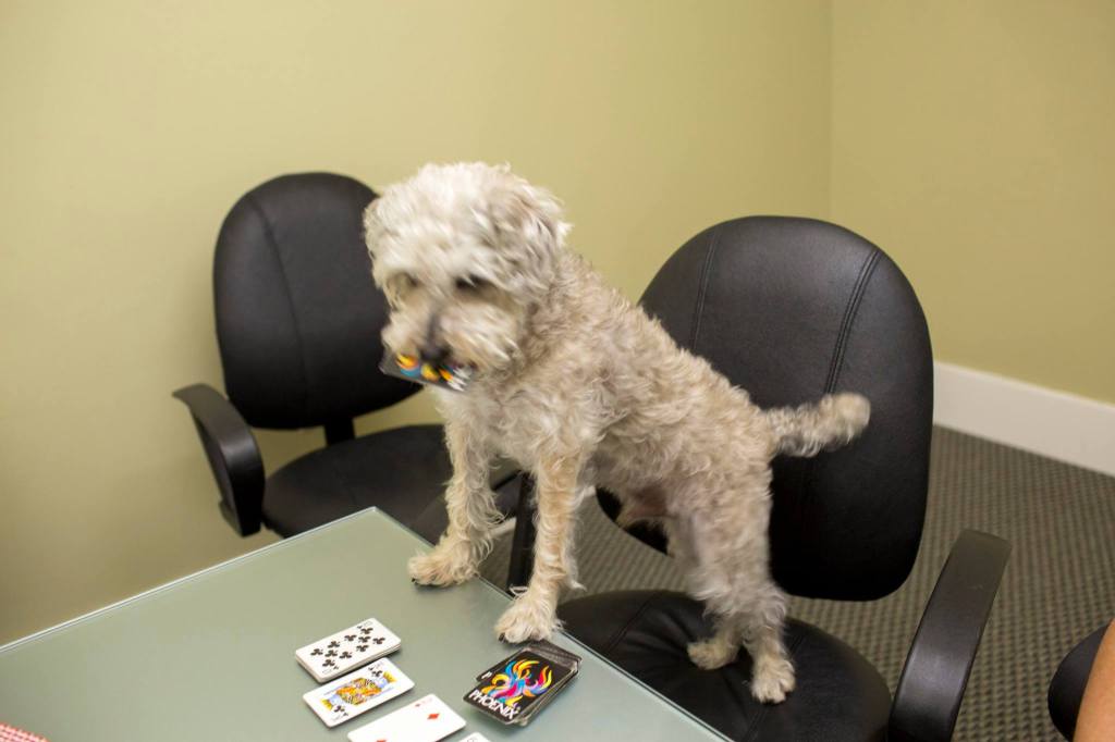 Magnus playing cards.