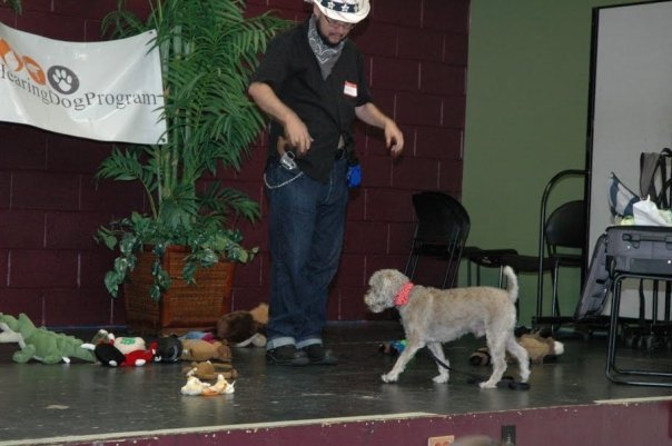 Magnus and Drago performing on stage.